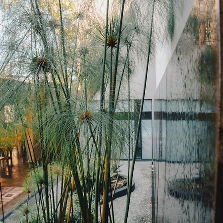 Casa Chichipicas Hotel Boutique Valle de Bravo Exterior foto